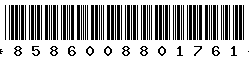 8586008801761