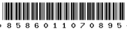 8586011070895