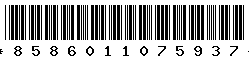 8586011075937
