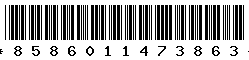 8586011473863