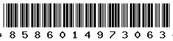 8586014973063