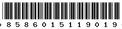 8586015119019