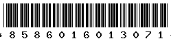 8586016013071