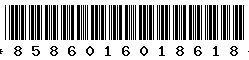 8586016018618