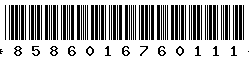 8586016760111
