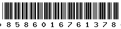 8586016761378