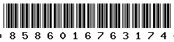 8586016763174