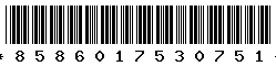 8586017530751
