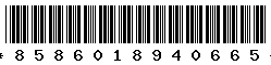 8586018940665