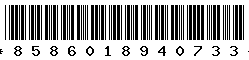 8586018940733