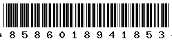 8586018941853