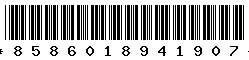 8586018941907