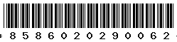 8586020290062