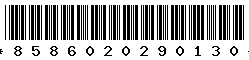 8586020290130
