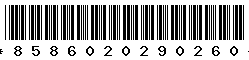 8586020290260