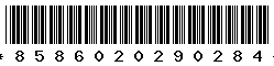8586020290284
