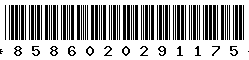 8586020291175
