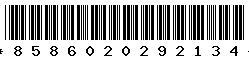 8586020292134