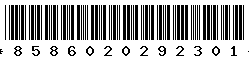 8586020292301