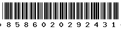 8586020292431
