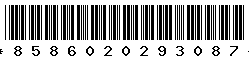 8586020293087