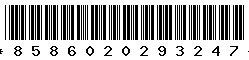 8586020293247