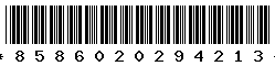 8586020294213