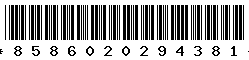8586020294381