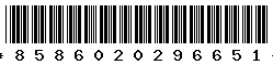8586020296651