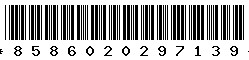 8586020297139