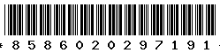 8586020297191