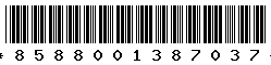 8588001387037