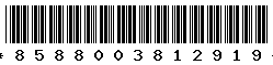 8588003812919
