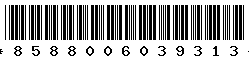 8588006039313
