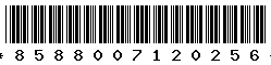 8588007120256