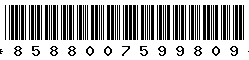 8588007599809