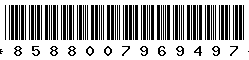 8588007969497