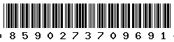 8590273709691