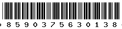 8590375630138