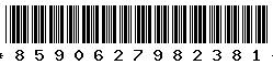 8590627982381