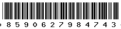 8590627984743