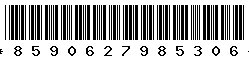 8590627985306
