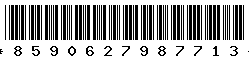 8590627987713