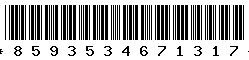 8593534671317