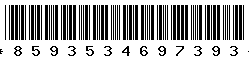 8593534697393