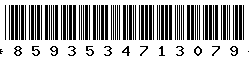 8593534713079