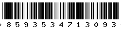 8593534713093