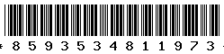 8593534811973