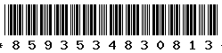 8593534830813