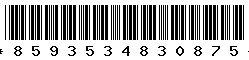 8593534830875